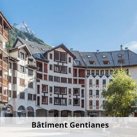 L'aiguille - Maeva - 2 Pieces 5 Personnes Confort Mae-1176 Apartamento Chamonix Mont Blanc